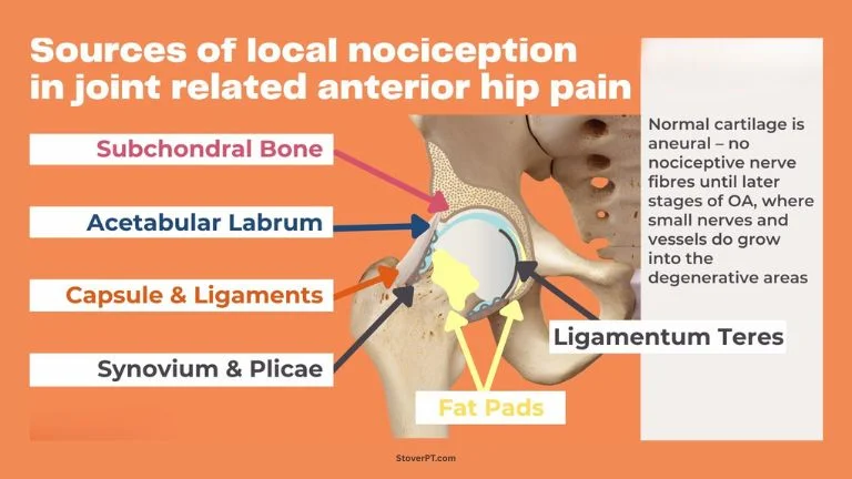 Anterior Hip Pain