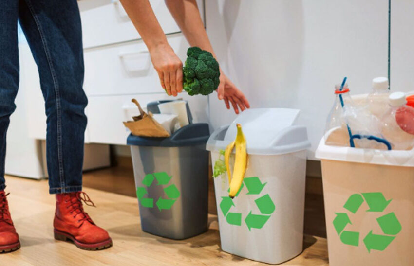 How Do You Effectively Remove Disposable Waste from Daily Life?