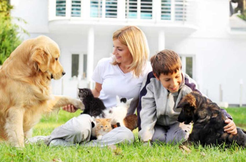  Pets and Animals | Care Tips, Fun Facts & Best Products
