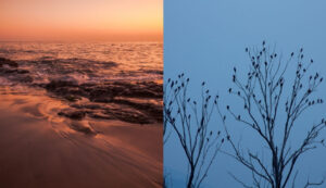 Warm vs. Cool Tones in Dark, Moody Palettes