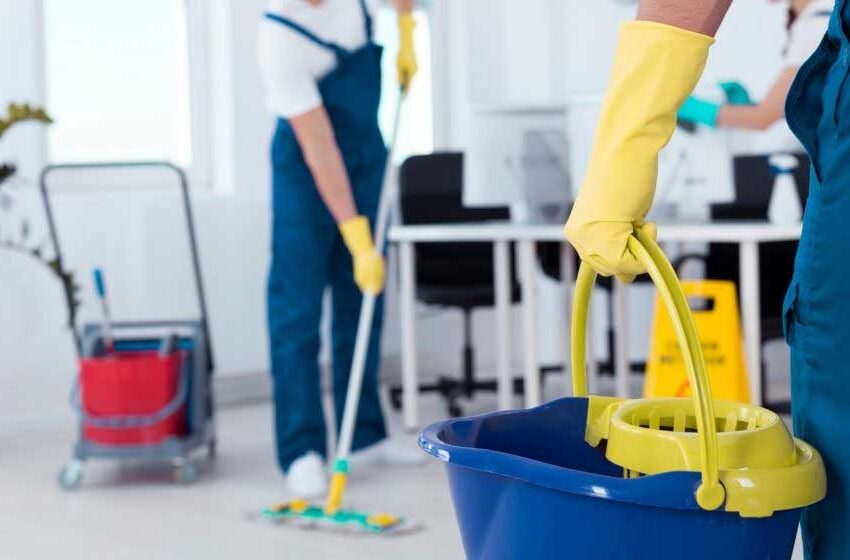 Inside the World of Professional Building Maintenance Experts