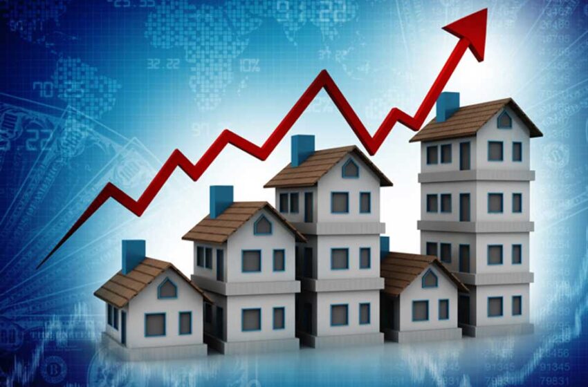  What’s the Real Estate Buzz in 2025? Home Upgrades You’ll Actually Want—That Aren’t the Kitchen or Bathroom